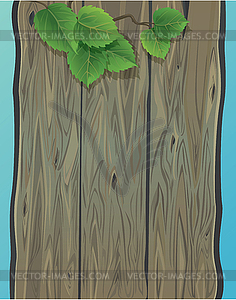 Wooden wall and green spring leaves of birch. - vector image