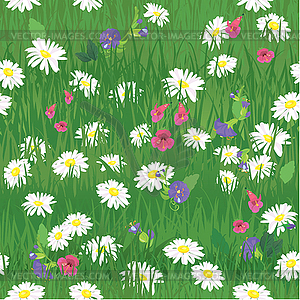 Seamless pattern - texture of grass and wild flowers - vector clipart / vector image