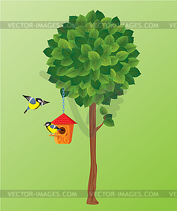 Green tree, tit birds and nesting box - vector clipart