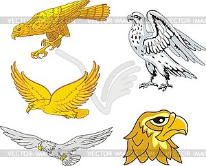 Set of heraldic eagles and falcons - vinyl EPS vector clipart