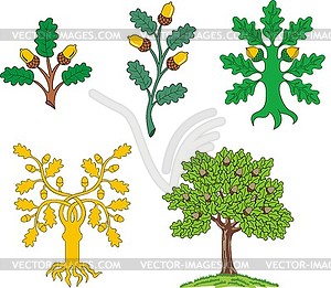 Set of heraldic oak trees and branches - royalty-free vector image
