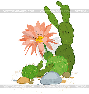 Cactus blooms - vector EPS clipart