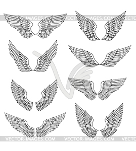 Heraldic wings set - vector image