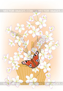 Flowering branches of cherry in a basket - vector clipart