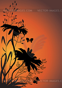 Wildflowers in evening - vector image