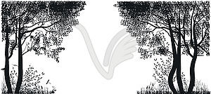 Silhouettes of trees - vector image