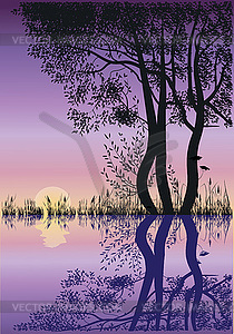 Silhouettes of trees - vector image