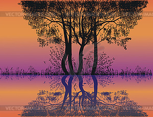 Trees by the lake - vector clipart