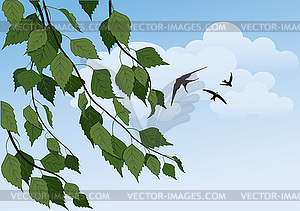 Summer landscape with birch trees - vector image