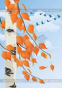 Autumn forest - vector clipart