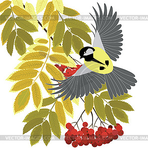 Rowan branches and tit - vector clipart