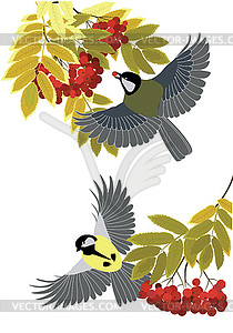 Rowan branches and tit - vector image