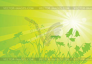   sunny meadow - vector image