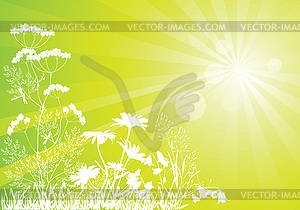   sunny meadow - vector EPS clipart