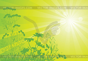   sunny meadow - vector clipart