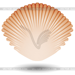 Sea shell icon - vector image