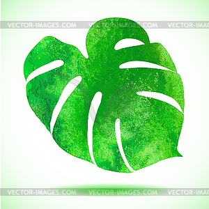 Watercolor leaf of tropical plant - Monstera - vector clip art