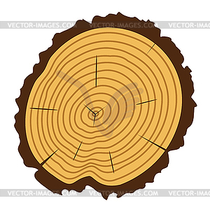 Wooden cut of tree log - vector image