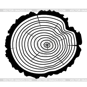 Деревянный срез бревна дерева - изображение в векторном виде