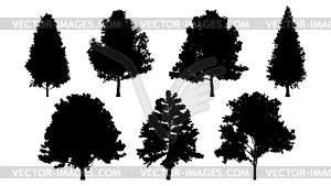 Set of tree silhouettes for forest or park - vector clipart