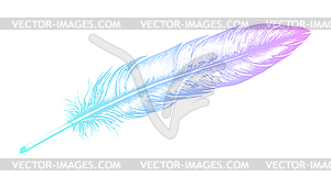 Bird feather in ink drawing style. bird plume - vector clipart