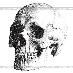 Human skull in dotwork or tattoo style. Mystic - vector clipart