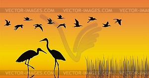 Storks in middle of reservoir on an orange - vector image