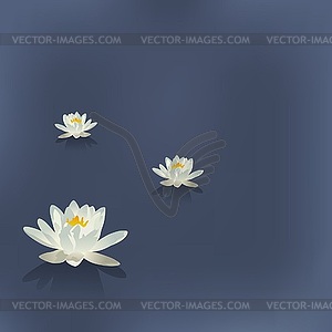 Three flowers of lily in lake on blue background - vector clip art