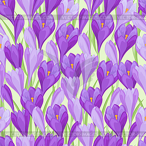 Spring flowers crocus natural seamless pattern - vector image