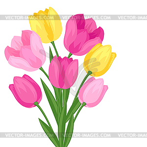 Bouquet of flowers tulips - vector image