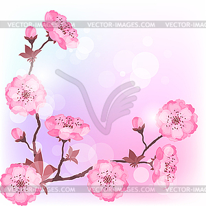 Spring cherry flowers natural background - vector clipart