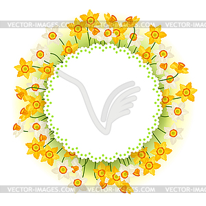 Spring flowers narcissus natural background - vector clipart / vector image