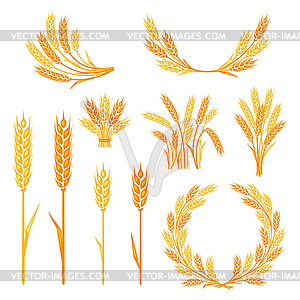 Cereal collection elements for design - vector clipart