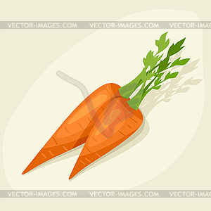 Stylized fresh ripe carrots - vector clip art