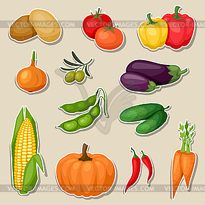 Sticker icon set of fresh ripe stylized vegetables - vector clipart