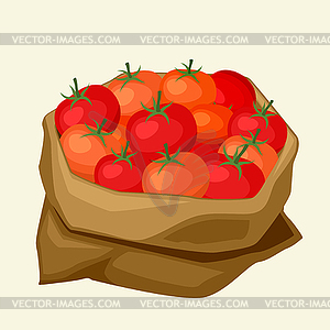 Stylized sack with fresh ripe tomatoes - stock vector clipart