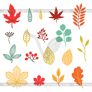 Set of various stylized autumn leaves and elements - vector image