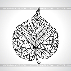 Stylized detail silhouette of leaf on background - vector clipart