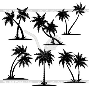 Palm silhouette set - vector clip art