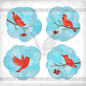 Winter Christmas Sticker Birds Rowan Tree Branches - vector clipart