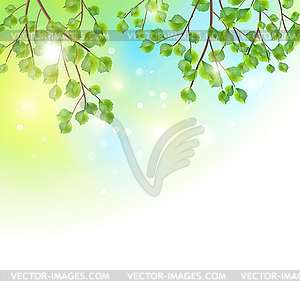 Green leaves tree branches background - vector image