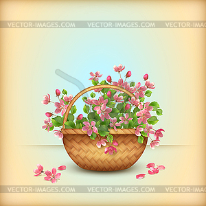 Spring wicker basket cherry flowers greeting card - vector clip art