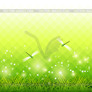 Green Grass Dragonfly Season Background - color vector clipart