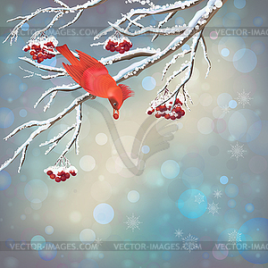 Christmas Snowy Rowan Berries Bird Card - vector image