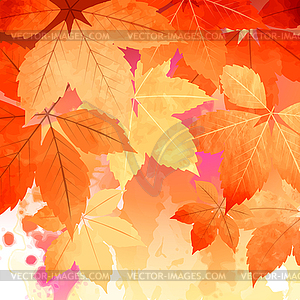 Autumn Watercolor Fall Leaves - vector clip art