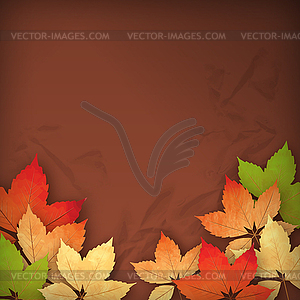 Autumn Fall Leaves - vector image