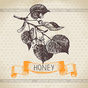 Honey background with sketch - vector EPS clipart