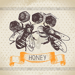 Honey background with sketch - vector clipart