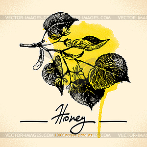 Honey background with sketch and watercolor - vector clip art