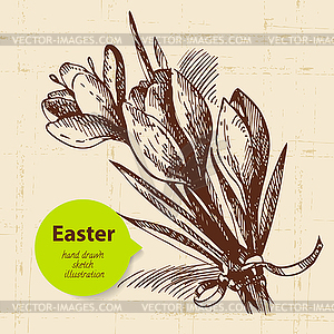 Vintage Easter background with sketch - vector image